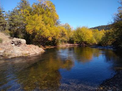 Departamento en alquiler en El Bolsón. 2 ambientes, 1 baño y capacidad de 1 a 3 personas. 