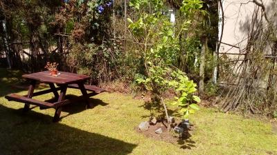 Complejo de Cabañas en alquiler en Santa Teresita. 2 ambientes, 1 baño y capacidad de 1 a 4 personas. 