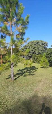 Apart en alquiler en Colón. 2 ambientes, 1 baño y capacidad de 1 a 5 personas. 